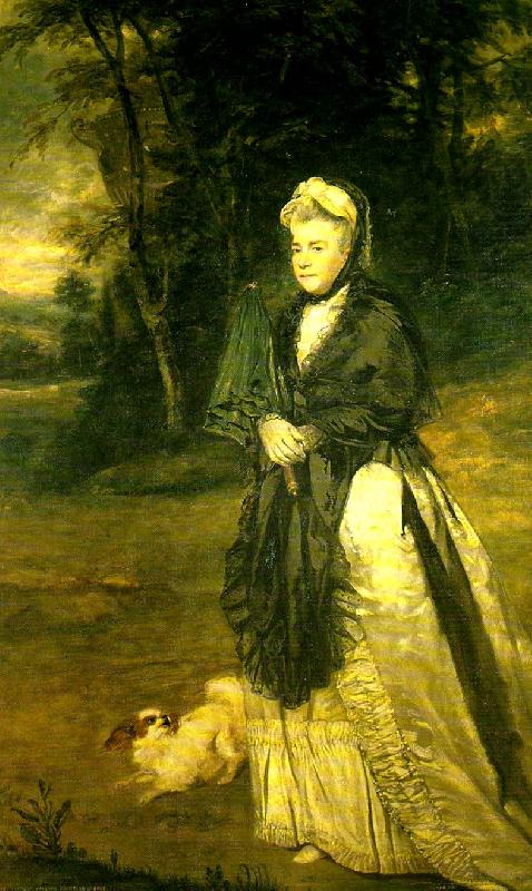 Sir Joshua Reynolds mary, countess of bute china oil painting image